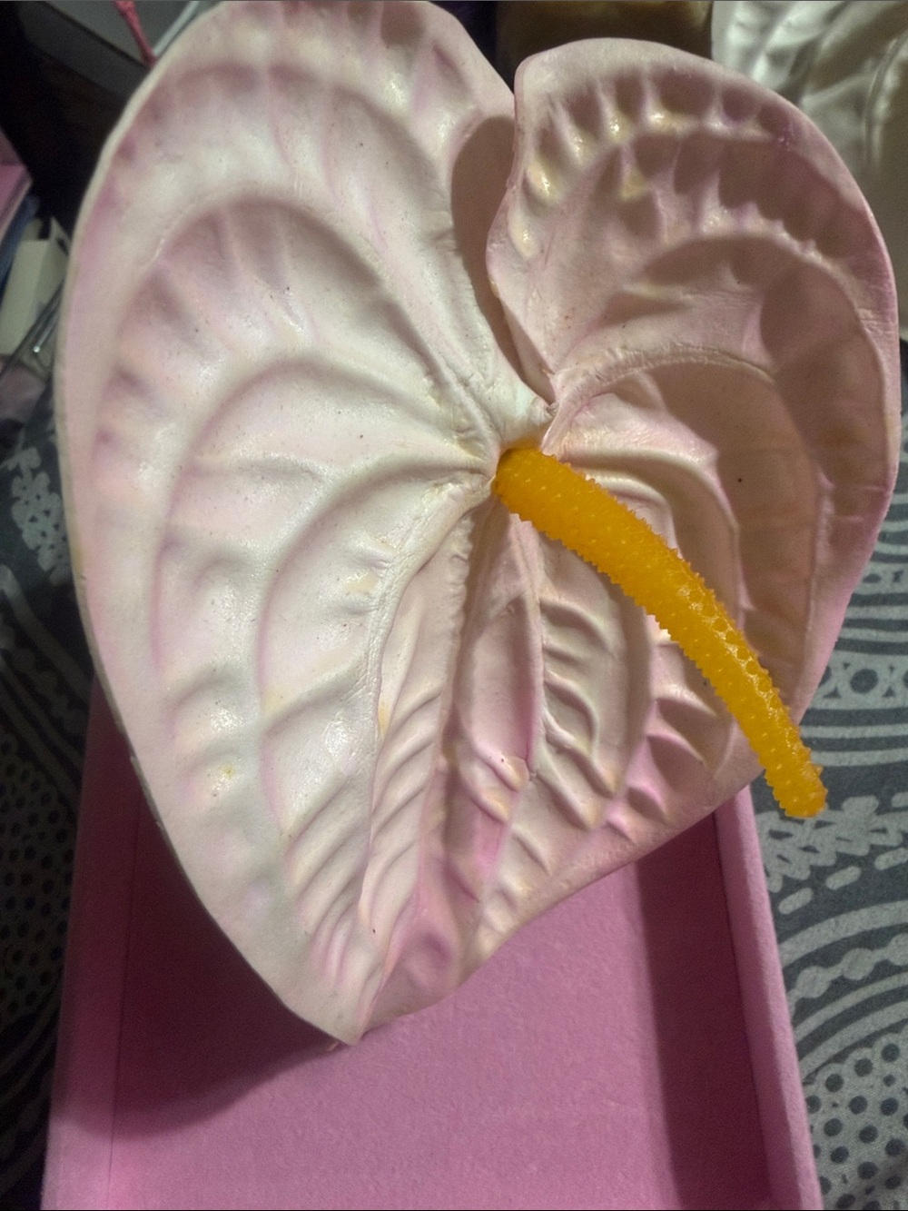 Anthurium  claw clip